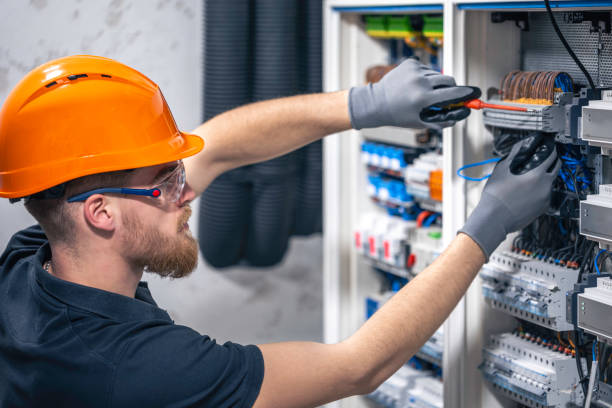 Best Electric Panel Repair  in Cutler Bay, FL